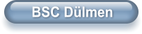 BSC Dlmen